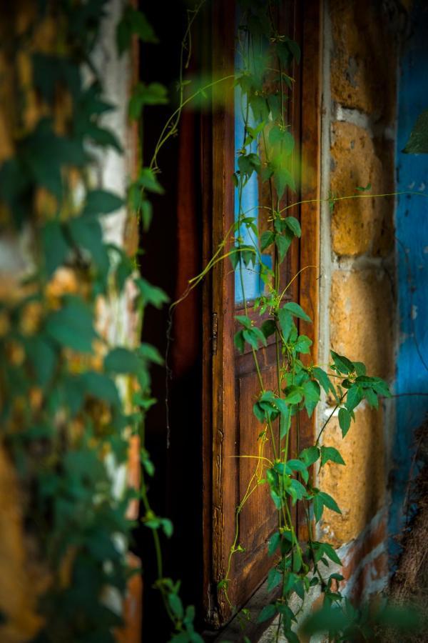 Hotel Casamia Dolores Hidalgo Dış mekan fotoğraf